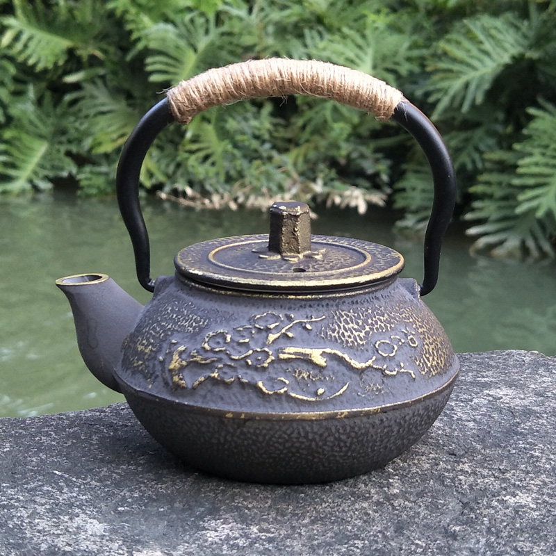 Cast Iron Teapot Japanese Tets - Cast Iron Tetsubin ulasan dan harga